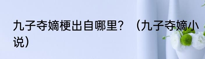 九子夺嫡梗出自哪里？（九子夺嫡小说）