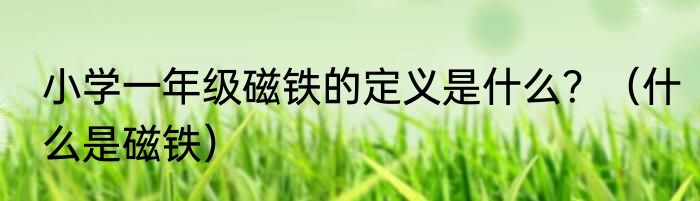 小学一年级磁铁的定义是什么？（什么是磁铁）