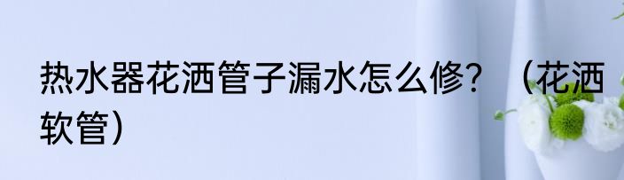 热水器花洒管子漏水怎么修？（花洒软管）