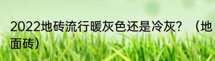 2022地砖流行暖灰色还是冷灰？（地面砖）