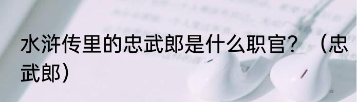 水浒传里的忠武郎是什么职官？（忠武郎）