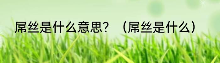 屌丝是什么意思？（屌丝是什么）