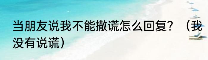 当朋友说我不能撒谎怎么回复？（我没有说谎）
