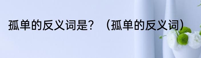 孤单的反义词是？（孤单的反义词）