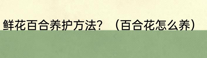 鲜花百合养护方法？（百合花怎么养）