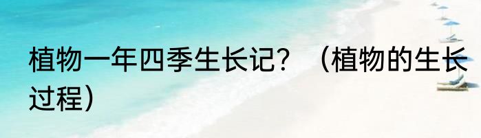 植物一年四季生长记？（植物的生长过程）