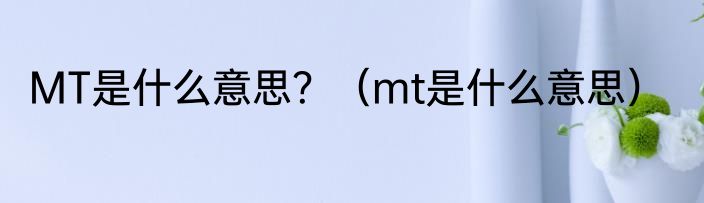 MT是什么意思？（mt是什么意思）