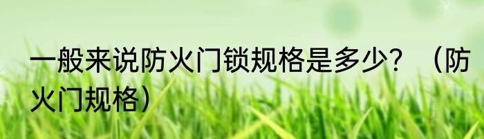 一般来说防火门锁规格是多少？（防火门规格）