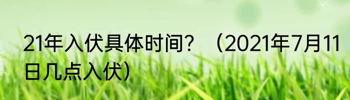 21年入伏具体时间？（2021年7月11日几点入伏）
