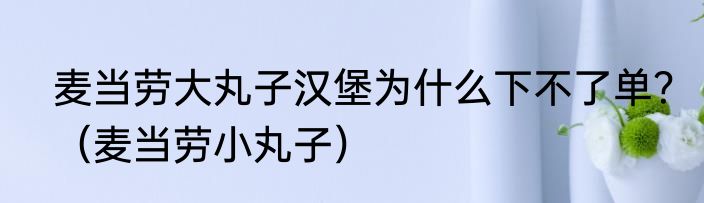 麦当劳大丸子汉堡为什么下不了单？（麦当劳小丸子）