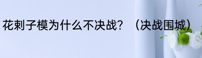 花剌子模为什么不决战？（决战围城）