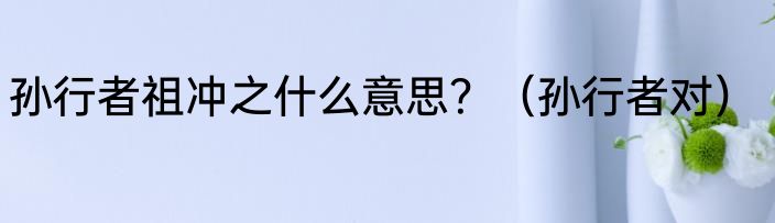 孙行者祖冲之什么意思？（孙行者对）