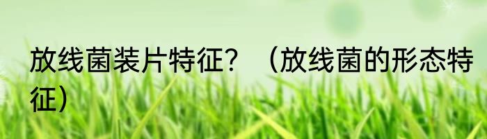 放线菌装片特征？（放线菌的形态特征）