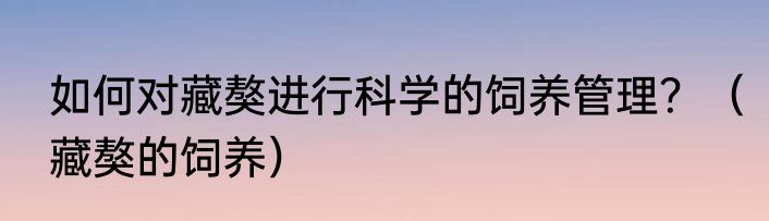 如何对藏獒进行科学的饲养管理？（藏獒的饲养）
