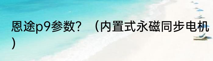 恩途p9参数？（内置式永磁同步电机）