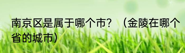 南京区是属于哪个市？（金陵在哪个省的城市）