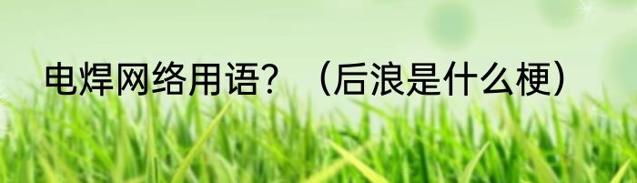 电焊网络用语？（后浪是什么梗）