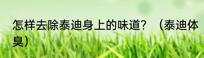 怎样去除泰迪身上的味道？（泰迪体臭）