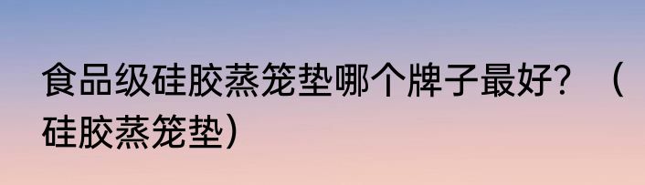 食品级硅胶蒸笼垫哪个牌子最好？（硅胶蒸笼垫）