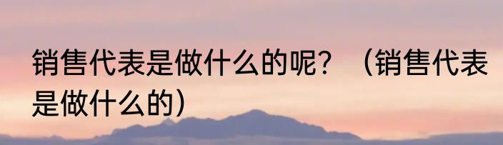 销售代表是做什么的呢？（销售代表是做什么的）
