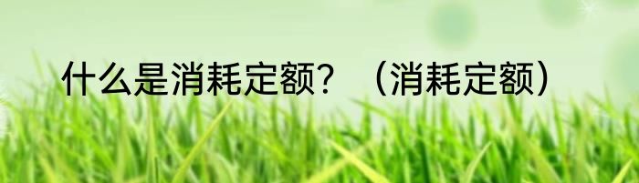 什么是消耗定额？（消耗定额）