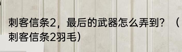 刺客信条2，最后的武器怎么弄到？（刺客信条2羽毛）