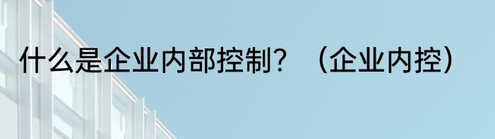什么是企业内部控制？（企业内控）