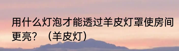 用什么灯泡才能透过羊皮灯罩使房间更亮？（羊皮灯）