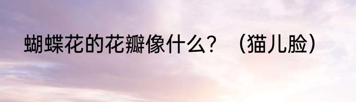 蝴蝶花的花瓣像什么？（猫儿脸）