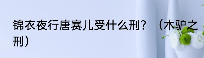 锦衣夜行唐赛儿受什么刑？（木驴之刑）