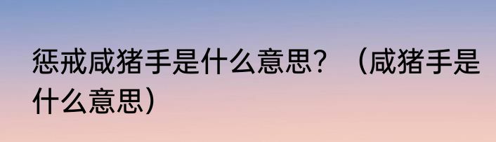 惩戒咸猪手是什么意思？（咸猪手是什么意思）
