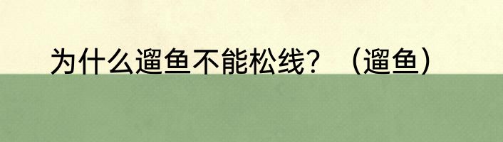 为什么遛鱼不能松线？（遛鱼）