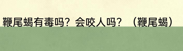 鞭尾蝎有毒吗？会咬人吗？（鞭尾蝎）