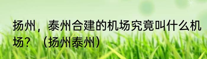 扬州，泰州合建的机场究竟叫什么机场？（扬州泰州）