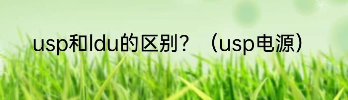 usp和ldu的区别？（usp电源）