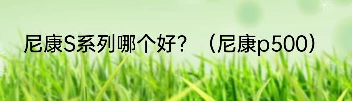 尼康S系列哪个好？（尼康p500）