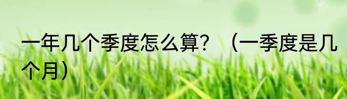 一年几个季度怎么算？（一季度是几个月）