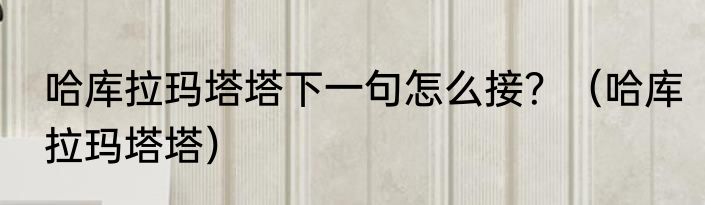哈库拉玛塔塔下一句怎么接？（哈库拉玛塔塔）