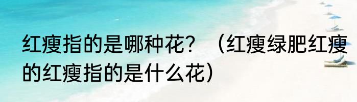 红瘦指的是哪种花？（红瘦绿肥红瘦的红瘦指的是什么花）