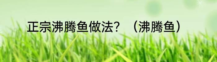 正宗沸腾鱼做法？（沸腾鱼）