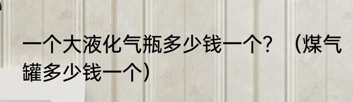 一个大液化气瓶多少钱一个？（煤气罐多少钱一个）