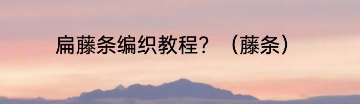 扁藤条编织教程？（藤条）