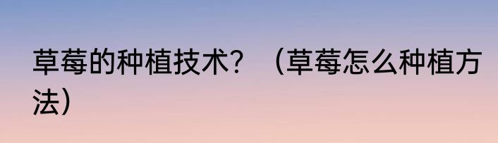 草莓的种植技术？（草莓怎么种植方法）