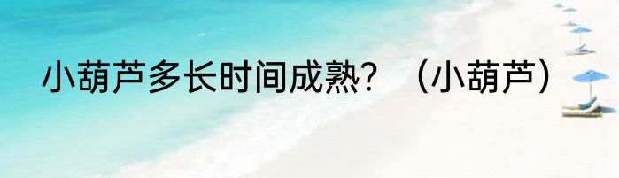 小葫芦多长时间成熟？（小葫芦）