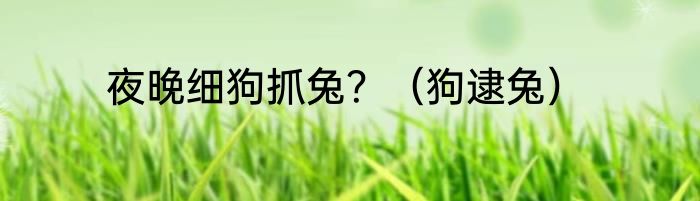 夜晚细狗抓兔？（狗逮兔）