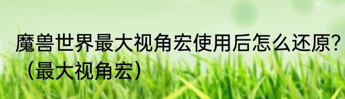 魔兽世界最大视角宏使用后怎么还原？（最大视角宏）