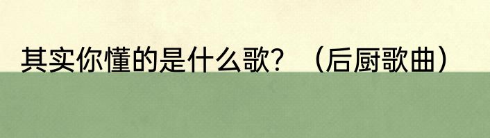 其实你懂的是什么歌？（后厨歌曲）