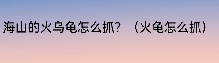 海山的火乌龟怎么抓？（火龟怎么抓）
