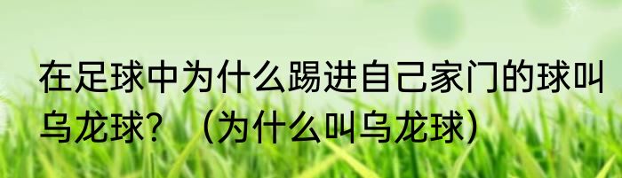 在足球中为什么踢进自己家门的球叫乌龙球？（为什么叫乌龙球）