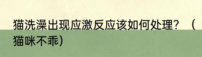 猫洗澡出现应激反应该如何处理？（猫咪不乖）